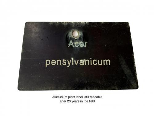 Aluminium plant label still readable after 20 years